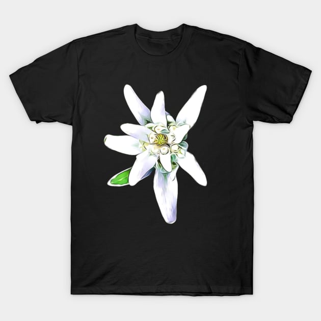 Edelweiss Alpine Flower Artistic Pattern T-Shirt by BubbleMench